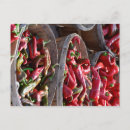 Buscar chili postales Especias