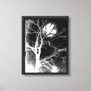 Buscar luz de luna lienzos Noche