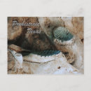 Buscar molar postales Para todos