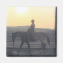 Buscar jinete imanes Caballo y jinete