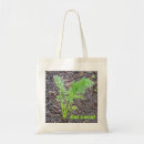 Buscar zanahorias bolsos General y unisex