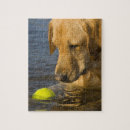 Buscar pelota de tenis puzzles Exterior