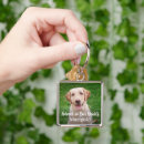 Buscar pérdida del perro llaveros Para mascotas