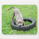 Buscar bull alfombrillas de raton Staffordshire bull terrier