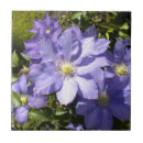 Buscar musgo verde azulejos Flores