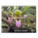 Buscar flores tropicales calendarios Orquídea