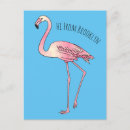 Buscar extravagancia postales General y unisex