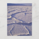 Buscar naturaleza muerta postales Desierto