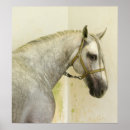 Buscar caballo español posters Mare