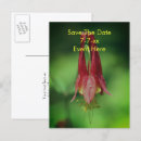 Buscar columbine invitaciones Invitados