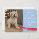 Buscar del mascota tarjetas Para mascotas