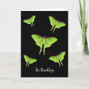 Buscar luna moth tarjetas Insecto