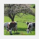 Buscar agricultura imanes Exterior