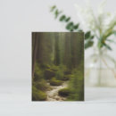 Buscar corriente postales Bosque