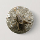 Buscar invertebrados chapas Naturaleza