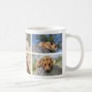 Buscar hamster tazas Para mascotas
