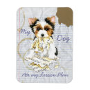 Buscar detectores imanes Detector aterrador