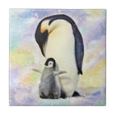 Buscar pingüinos azulejos Invierno