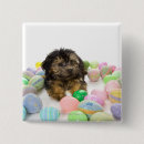 Buscar huevo pascua pins Perro
