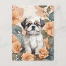 Buscar bebés animales postales Para ella