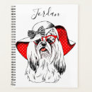 Buscar yorkies agendas Lindo