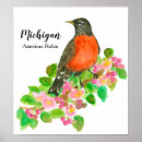 Buscar pintura americana posters Pintura de aves