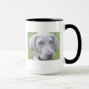 Buscar weimaraner tazas Perrito