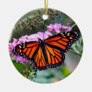 Buscar mariposa negra adornos Monarca