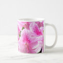 Buscar azalea tazas Rosa