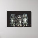 Buscar búhos lienzos Pájaro