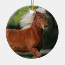 Buscar miniatura adornos Caballo