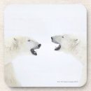 Buscar nieve cristaleria bar Animales