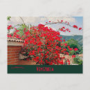Buscar caracas postales Flores