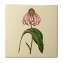 Buscar de color de malva azulejos Rosa