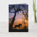 Buscar equinos tarjetas Puesta de sol