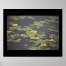 Buscar waterlilies posters Lirios acuáticos
