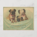 Buscar intercambios postales Cachorro
