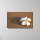 Buscar cabeza de flor lienzos Día