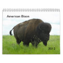 Buscar bisonte Pradera