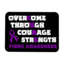 Buscar fibro imanes Guerrero