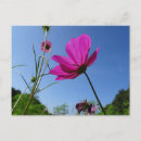 Buscar flores azules brillantes postales General y unisex