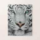 Buscar tigre blanco puzzles Felino