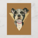 Buscar perro blanco negro postales Amantes del perro