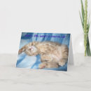 Buscar adopte tarjetas Gato