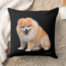 Buscar retrato del mascota cojines Lindo cachorro