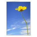 Buscar cielo amarillo General y unisex