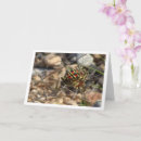 Buscar mariposa española tarjetas General y unisex