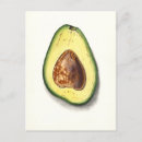Buscar aguacate postales Pozo