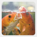 Buscar sudar pegatinas Naranja