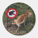 Buscar mentira imanes Perro